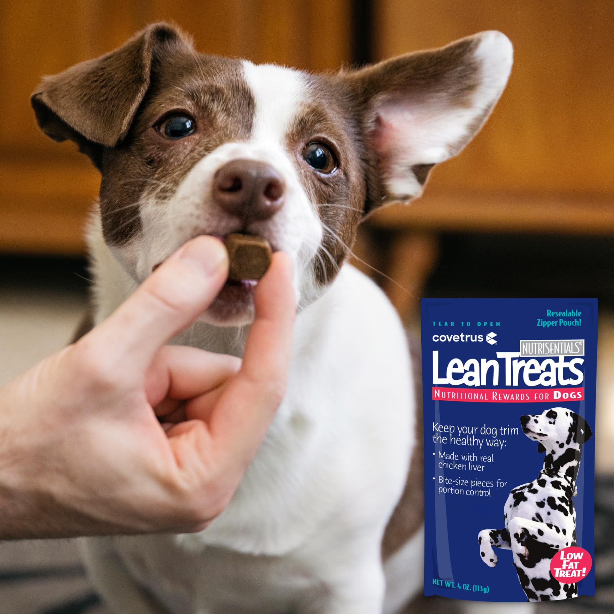 Nutrisential Lean Treats for Dogs - Low Fat Soft Dog Treats for All Sizes (Small, Medium, Large) - Healthy Chicken Flavor K9 Training Snacks - 4oz Pack - Perfect for Weight Management & Obedience Training