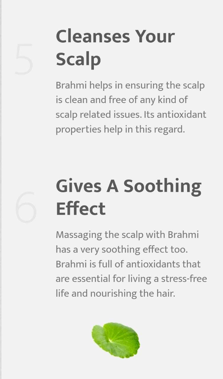Parijata Herbs Brahmi Powder for Hair Growth & Scalp Health - 100g Organic Ayurvedic Supplement - Promotes Thicker, Stronger Hair Naturally - Ideal for Daily Hair Care Routine & Holistic Wellness