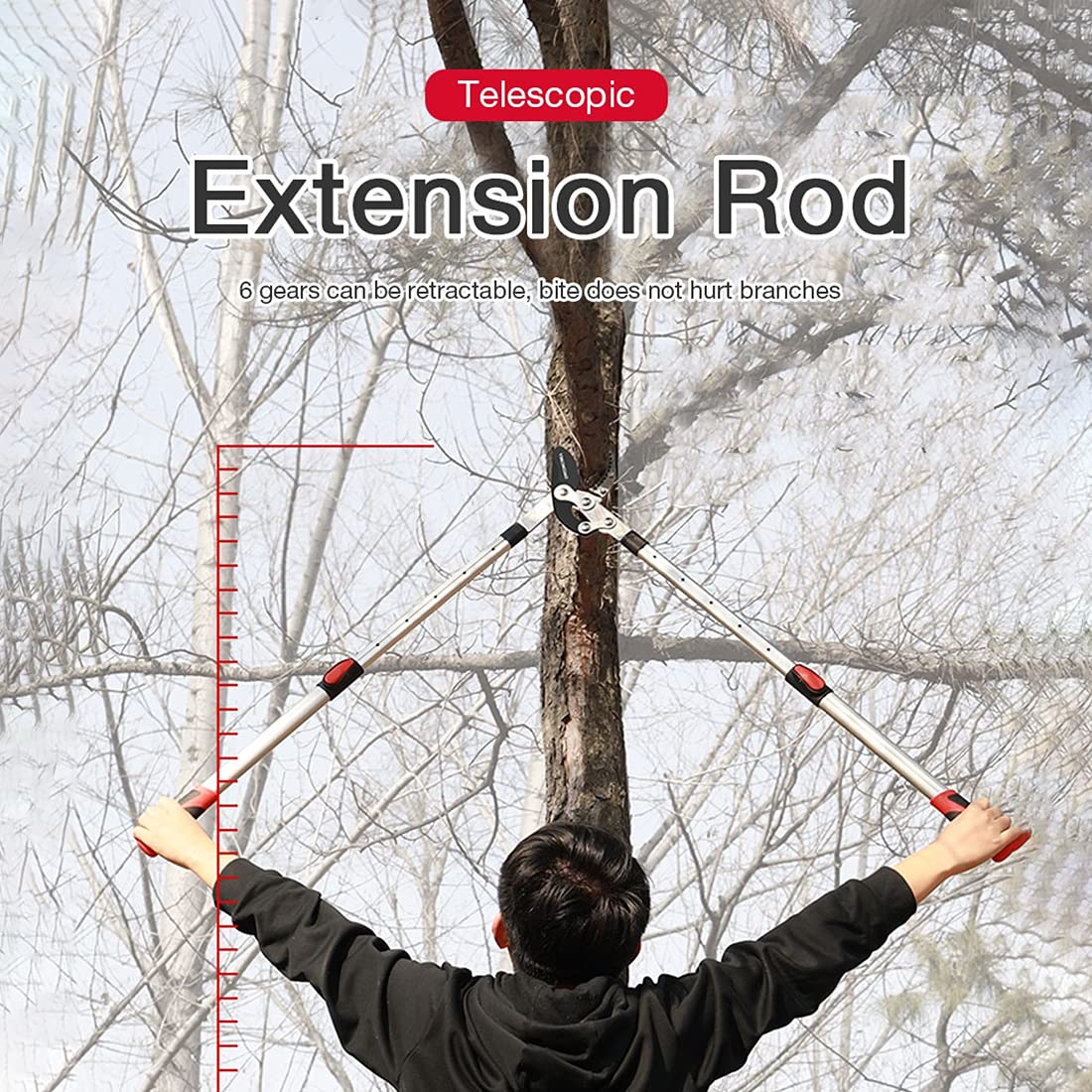 Professional Garden Hedge Shears & Tree Lopper Pruner - Telescopic Extending Branch Cutter for Gardening & Landscaping - Perfect for Trimming Hedges, Shrubs, and Tree Branches (Red)