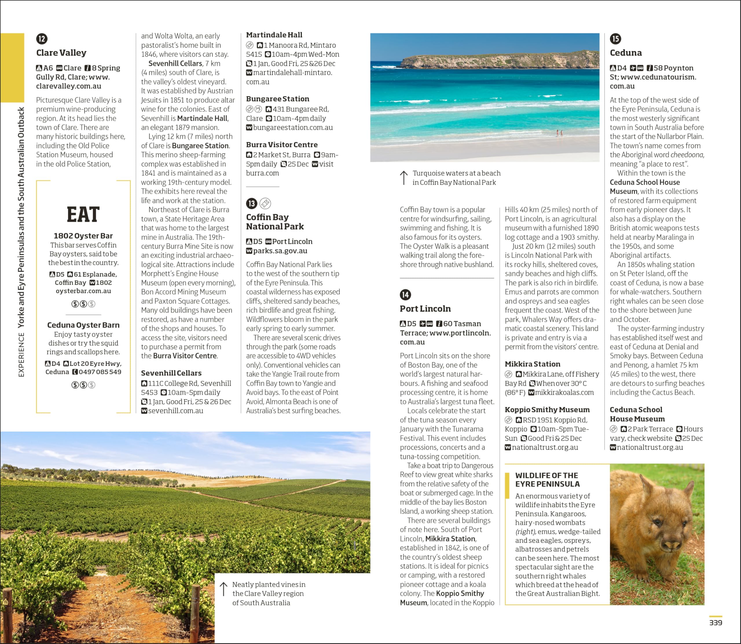 Australia Travel Guide 2024 - Best Tips, Itineraries & Must-See Attractions | Perfect for Solo Travelers, Couples & Families