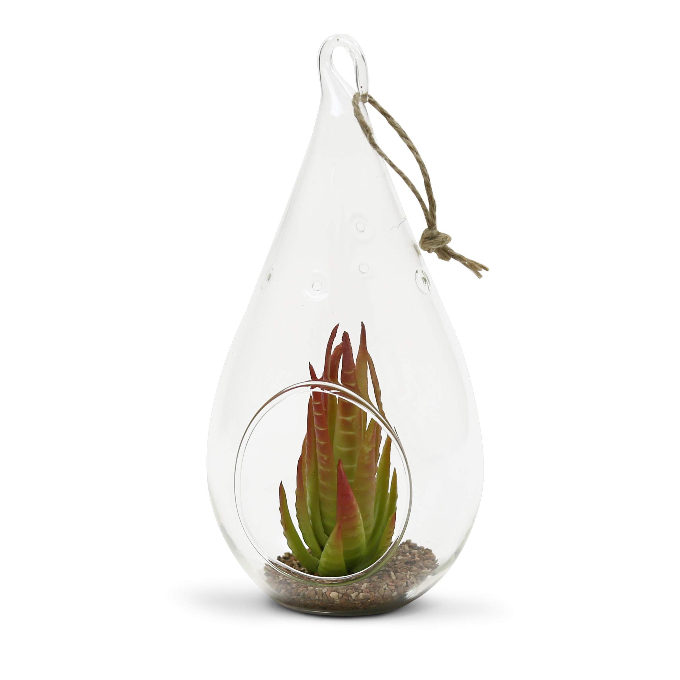 WGV Glass Hanging Plant Terrarium - 3.5