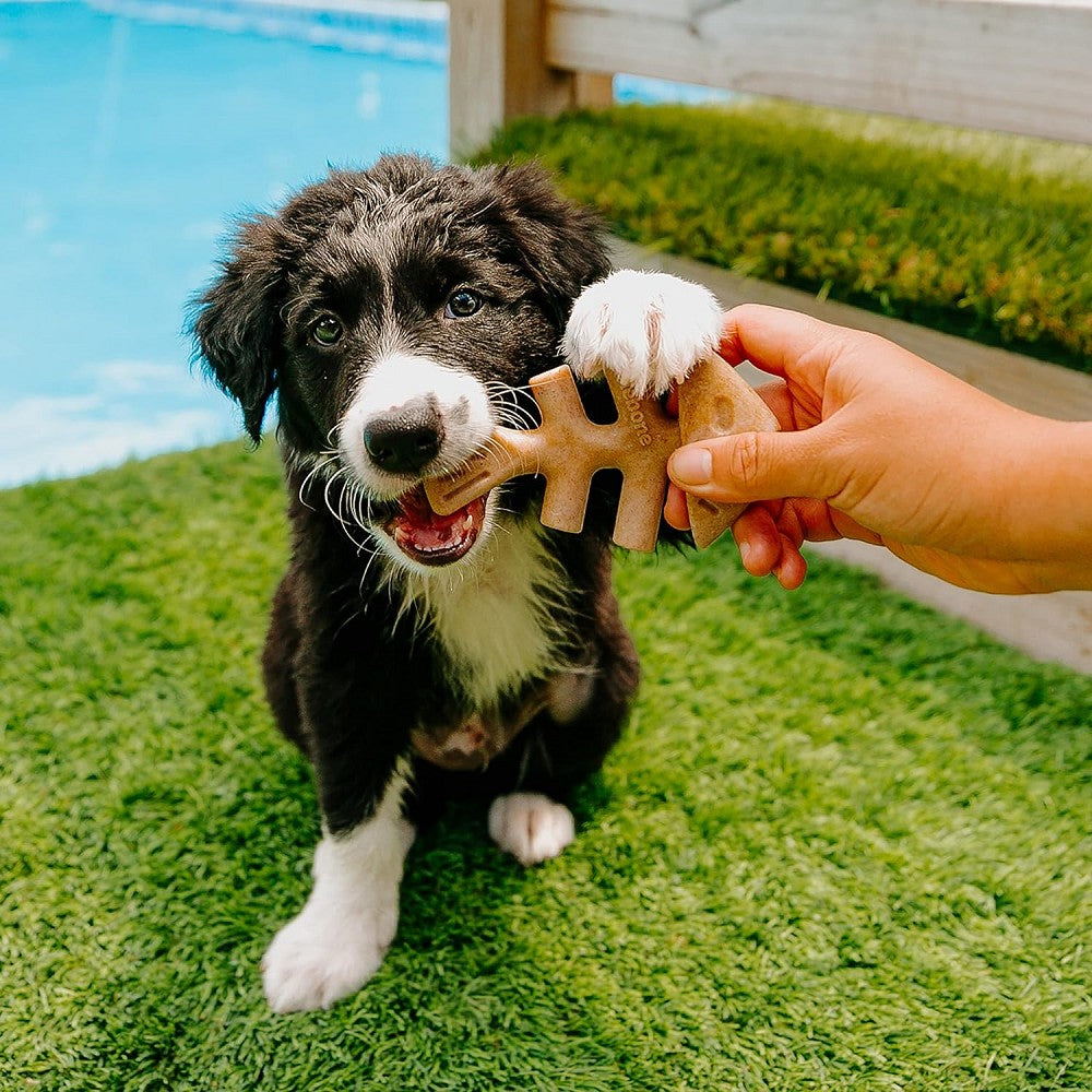 Premium Fishbone Salmon Chews - Natural Dog Chew Toys for Puppies & Adult Dogs | Long-Lasting Dental Treats for Teething, Anxiety Relief & Playtime Fun
