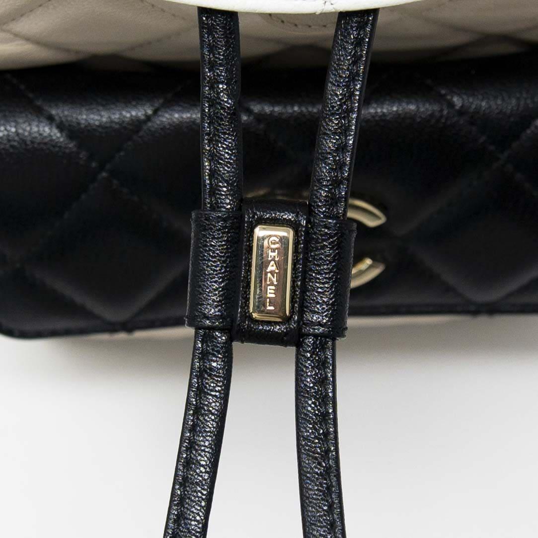 Chanel Tricolor Medium Duma Backpack - Luxury Designer Backpack for Women, Fashionable Everyday Use & Travel Accessory