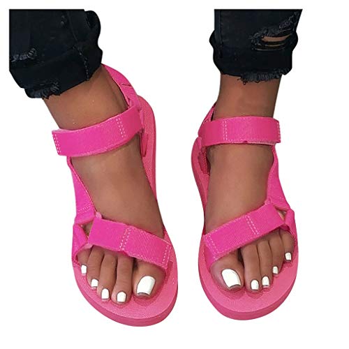 Z94-hot Pink