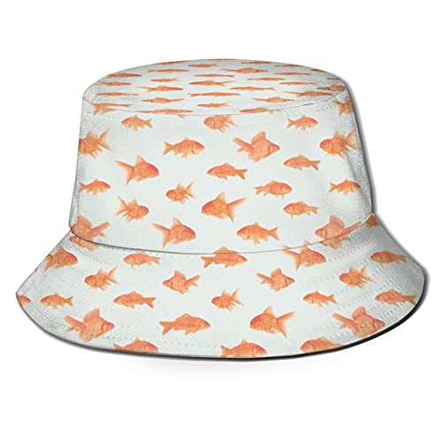 Goldfish_a09