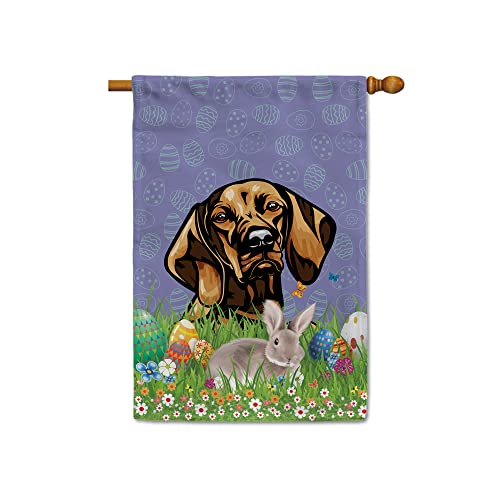 Vizsla