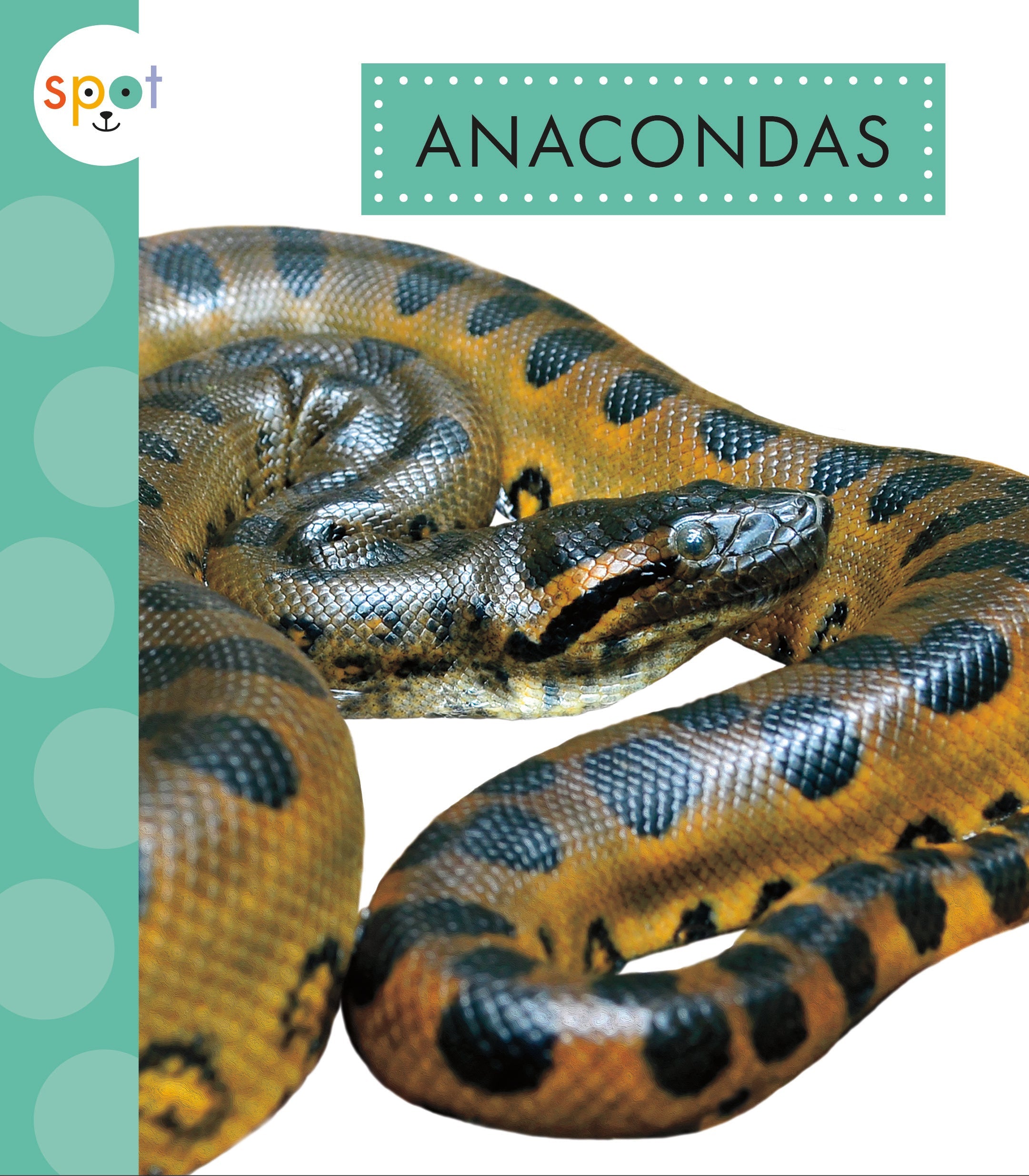 Anaconda Spot - Premium Reptile Enclosure for Snakes & Lizards - Perfect for Terrariums & Reptile Habitats