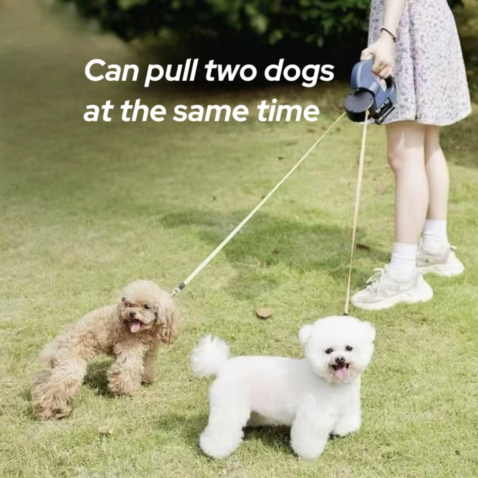 Dual Retractable Dog Leash for 2 Dogs Up to 33 Lbs - Adjustable Padded Handles, Tangle-Free Locking System with Flashlight & Poop Bag Holder - Perfect for Walking, Hiking & Nighttime Adventures (Blue)