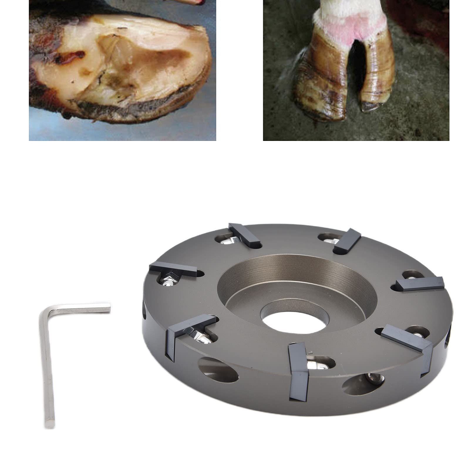 Yosoo Professional Electric Hoof Trimming Plate & Disc Cutter Tool for Cattle, Sheep, Horses - Durable Livestock Grooming Supplies for Farm & Ranch Maintenance