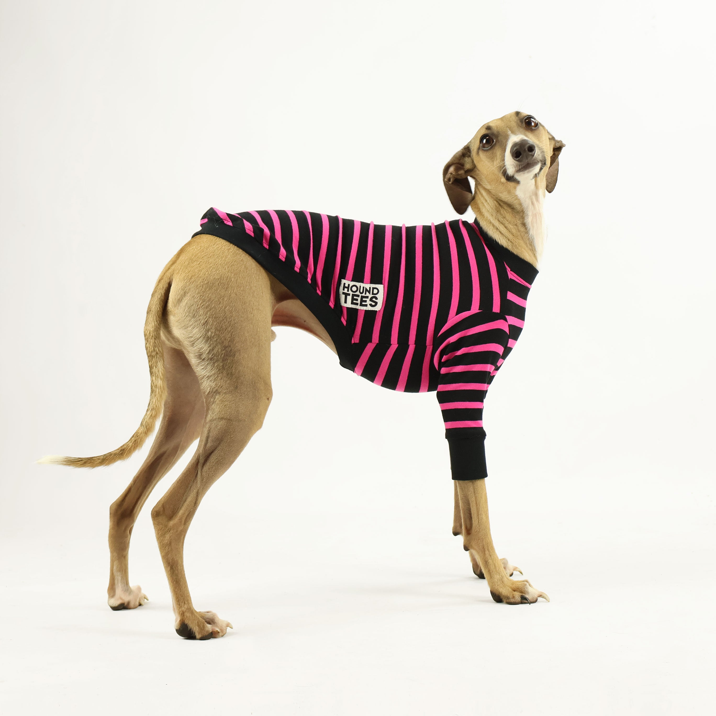 Sk8er Hound Iggy Long Sleeve Graphic T-Shirt for Men & Women - Vintage Skateboard Dog Design - Casual Streetwear for Everyday Wear, Skateboarding, and Music Festivals