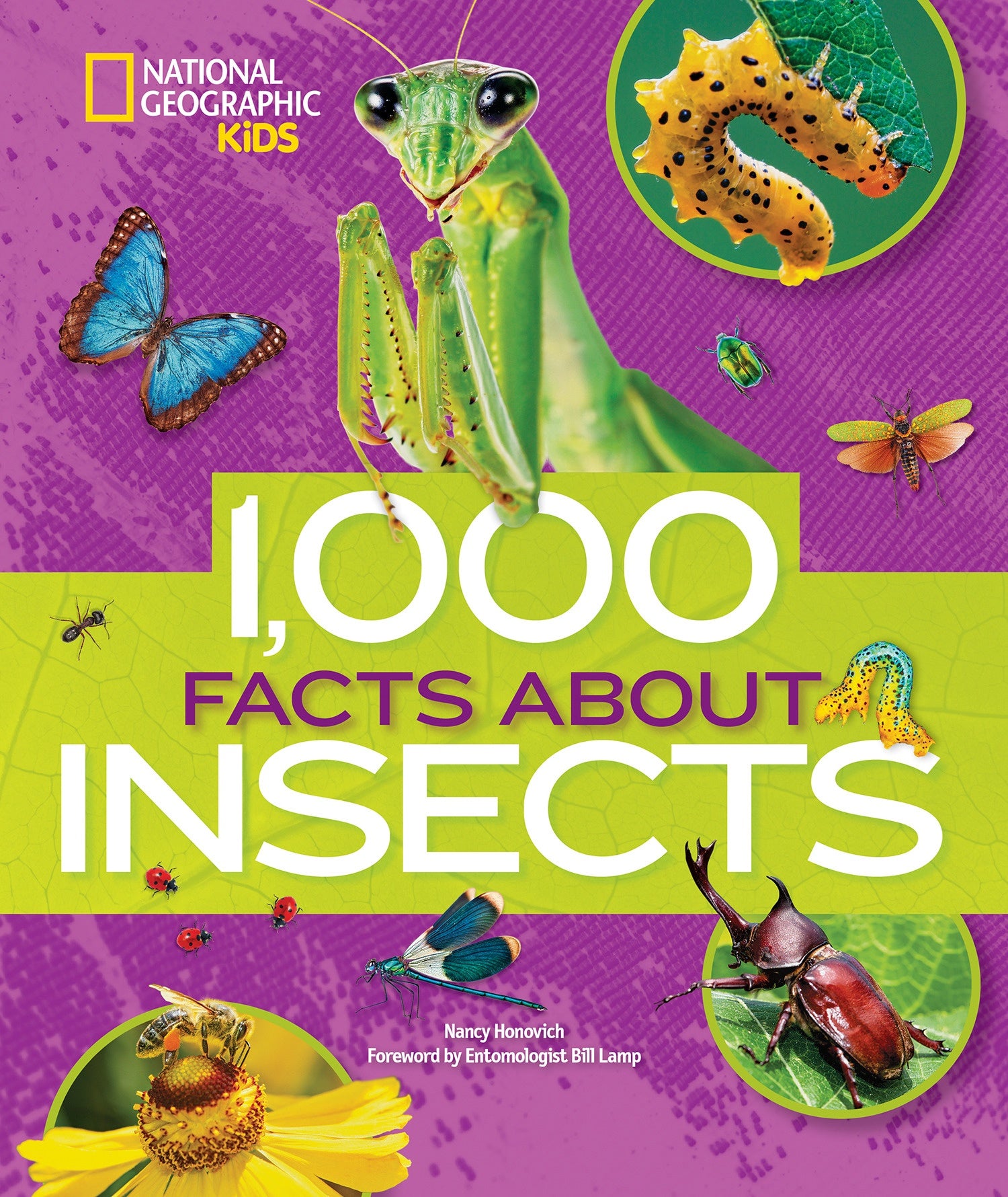 1,000 Fascinating Facts About Insects - Fun Educational Book for Kids & Adults - Perfect for Homeschooling, Science Projects & Nature Lovers