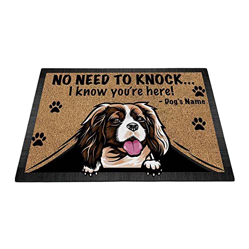Cavalier King Charles Spaniel