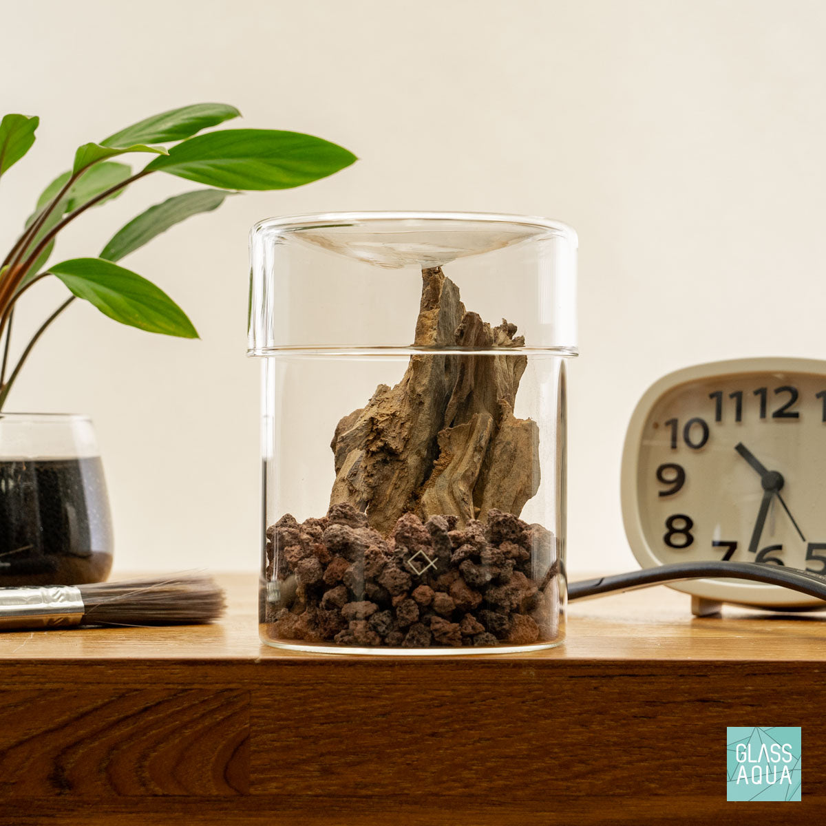 Miniature Terrarium Kit - DIY Glass Garden with Succulents & Moss - Perfect for Home Decor, Office Desk, or Gift Giving - Create Your Own Tiny Ecosystem