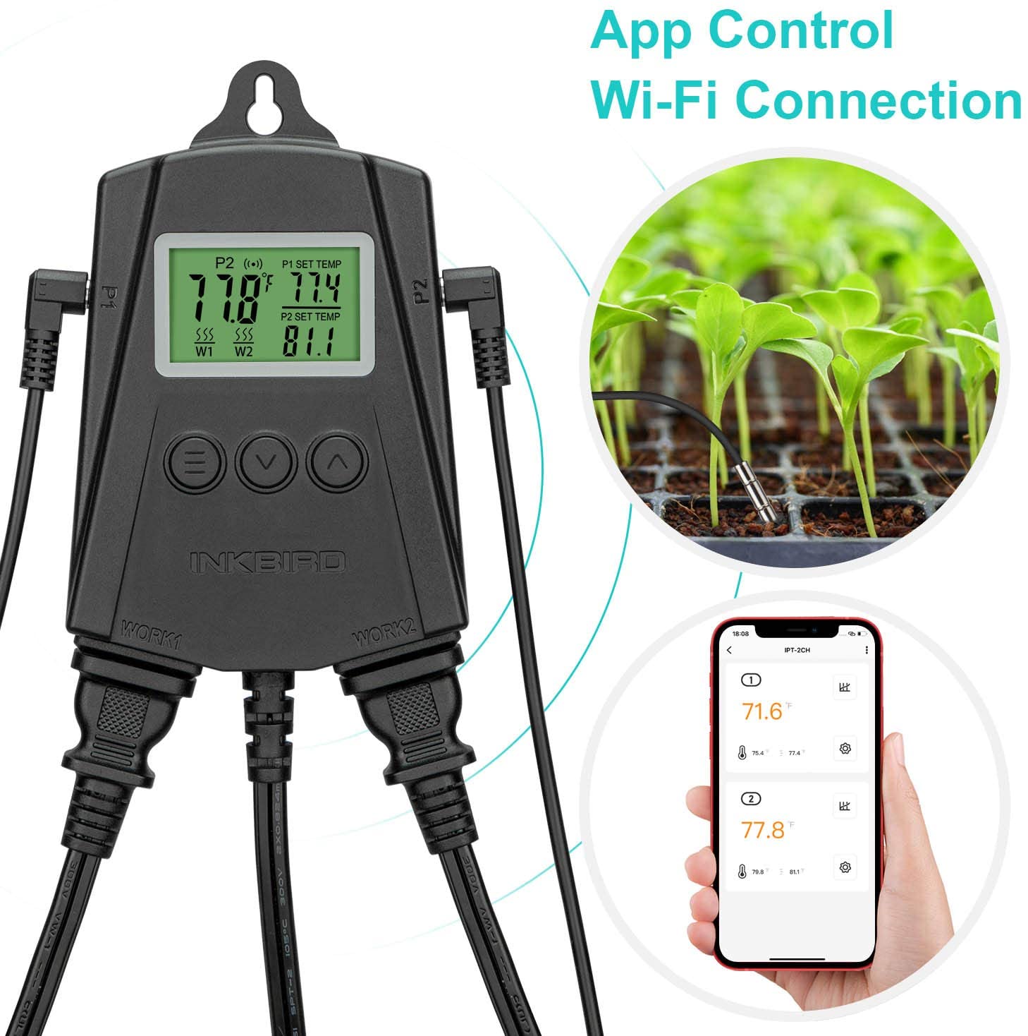 IPT 2CH Dual Channel Digital Temperature Controller - Precise Thermostat for Home Brewing, Aquariums & Reptile Tanks
