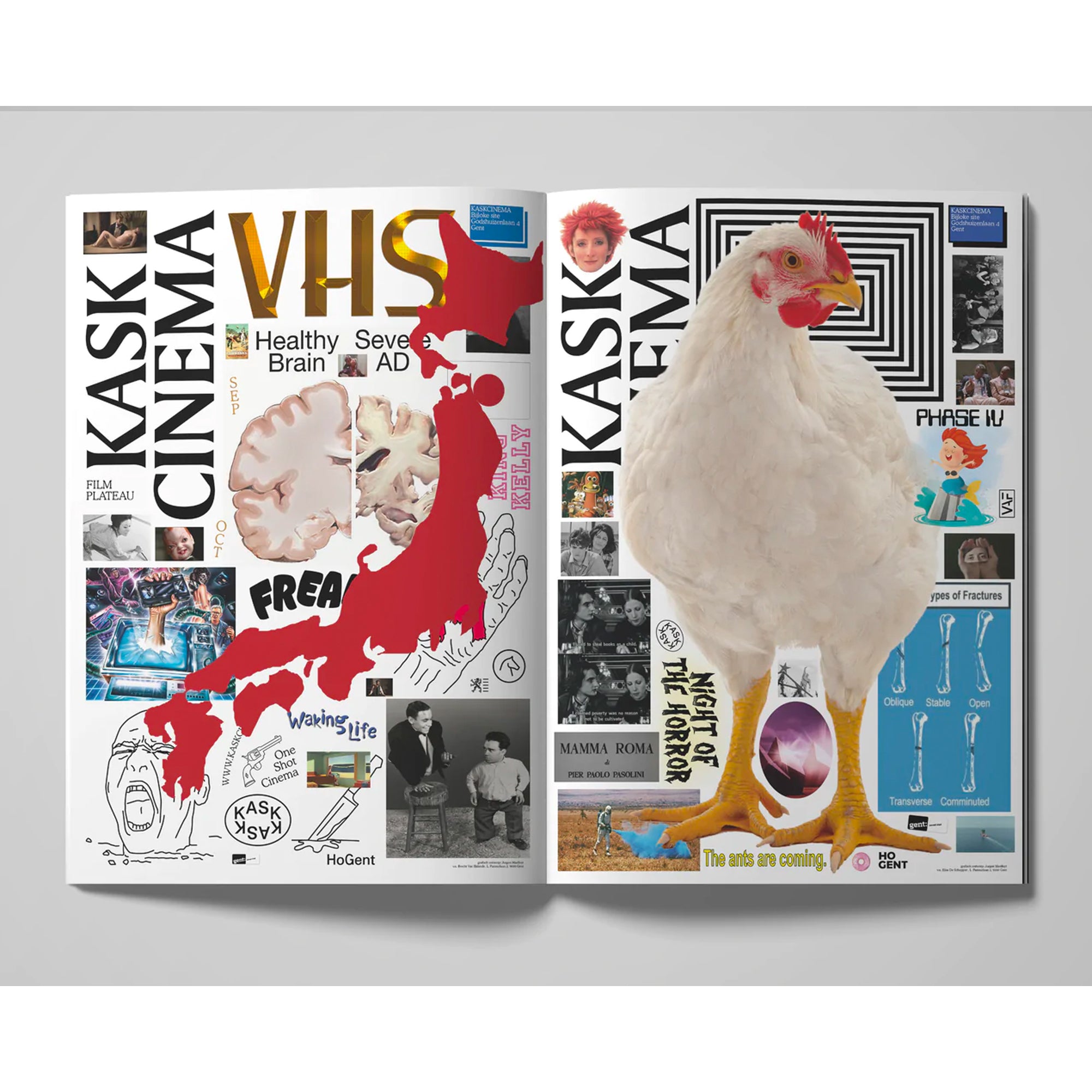 Jurgen Maelfeyt: Kaskcinema - Softcover Photography Book | Art Monograph for Collectors & Film Enthusiasts | Perfect for Coffee Tables & Creative Inspiration