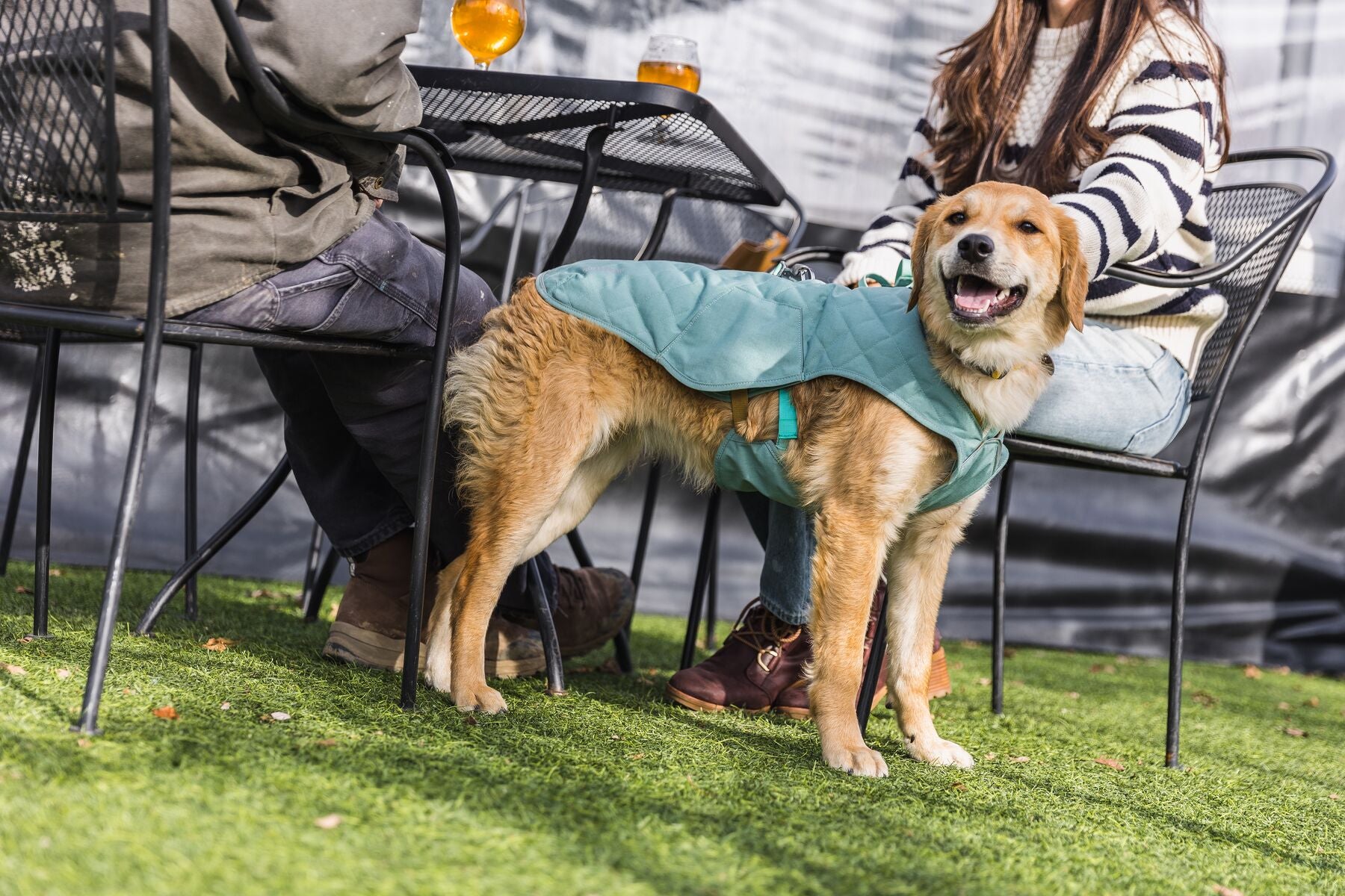Ruffwear Stumptown Jacket™ Dog Coat in River Rock Green - Waterproof & Breathable for Hiking, Camping, and Outdoor Adventures