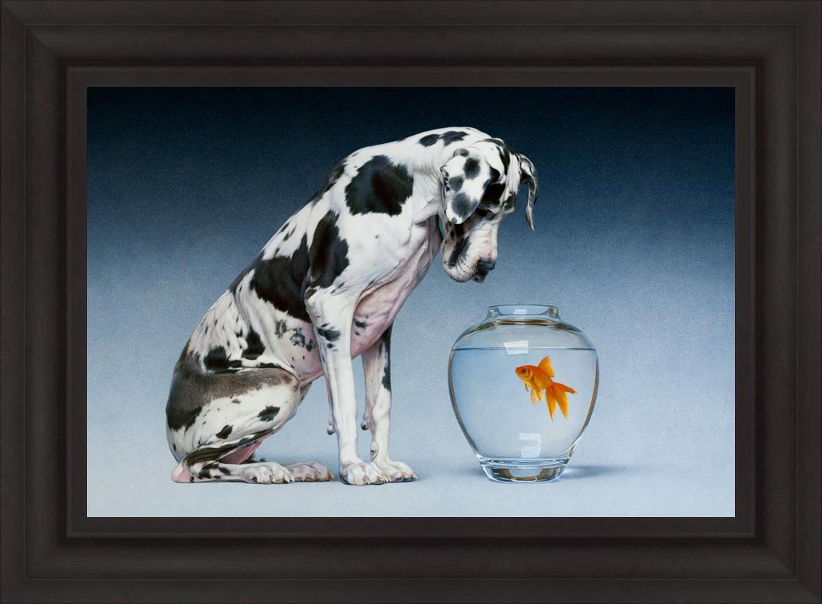 Dane And Fish By Chris Young - Premium Fishing Gear & Accessories for Outdoor Enthusiasts | Perfect for Freshwater & Saltwater Fishing Adventures