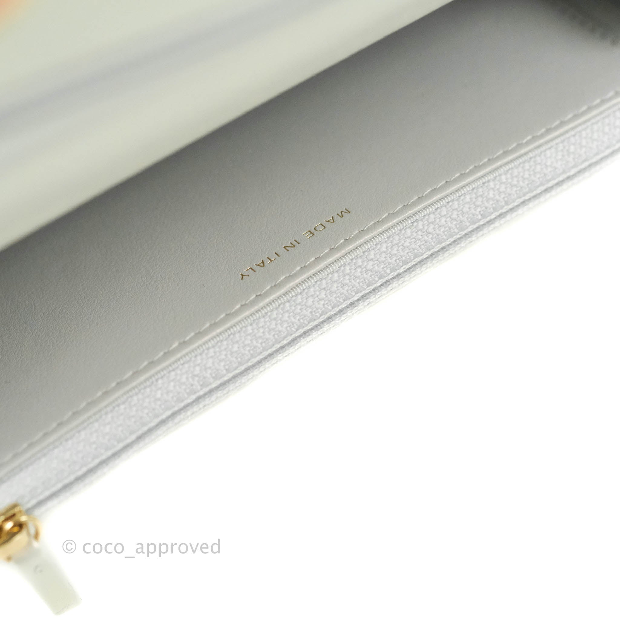 Chanel 19 Quilted Wallet on Chain WOC in Iridescent White with Mixed Hardware - Luxury Crossbody Bag for Women, Perfect for Evening Events & Daily Use
