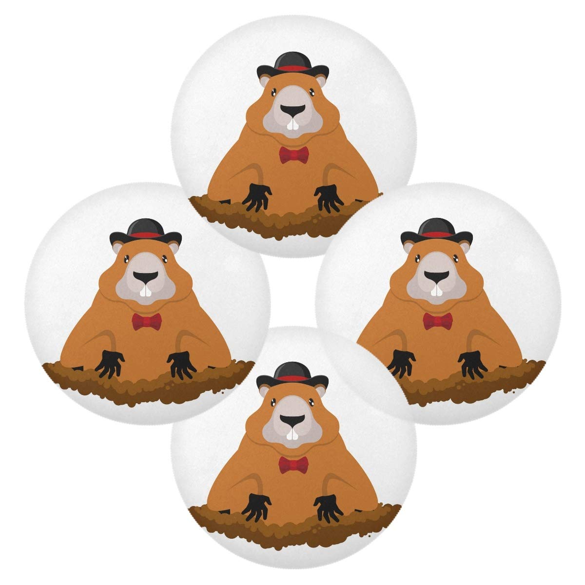 Groundhog Day Holiday Placemats Set - 15.4 Inch Dining Table Mats with Cute Marmot in Hat Design for National Holiday Decor & Home Celebration | Perfect for Holiday Parties, Family Gatherings & Seasonal Table Settings