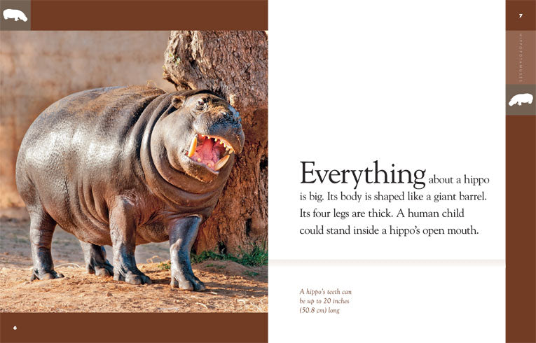 Amazing Animals (2014): Hippopotamuses - Educational Wildlife Documentary for Kids & Adults | Perfect for Classroom Learning & Family Movie Nights