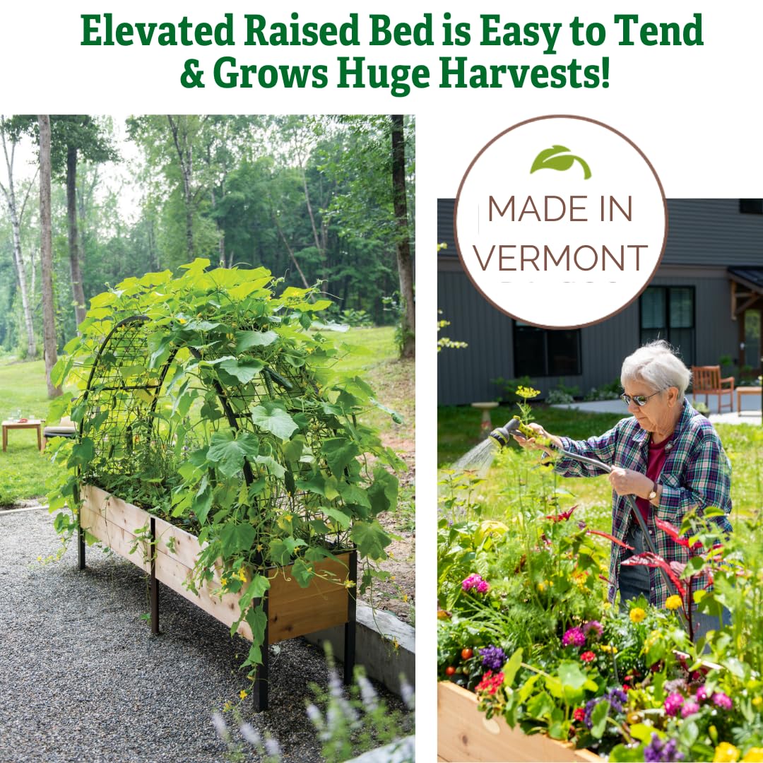 Premium Cedar Raised Garden Bed 2' x 8' - Heavy Duty Standing Planter Box with Reinforced Aluminum Corners for Vegetables, Flowers & Outdoor Plants | Perfect for Patio, Backyard & Urban Gardening | Durable Elevated Design for Easy Planting & Maintenance