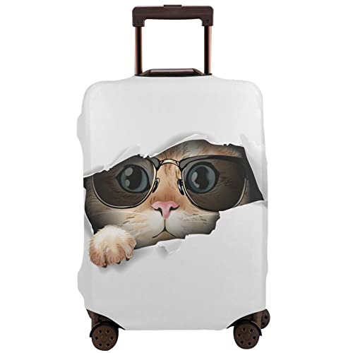 Funny Cat