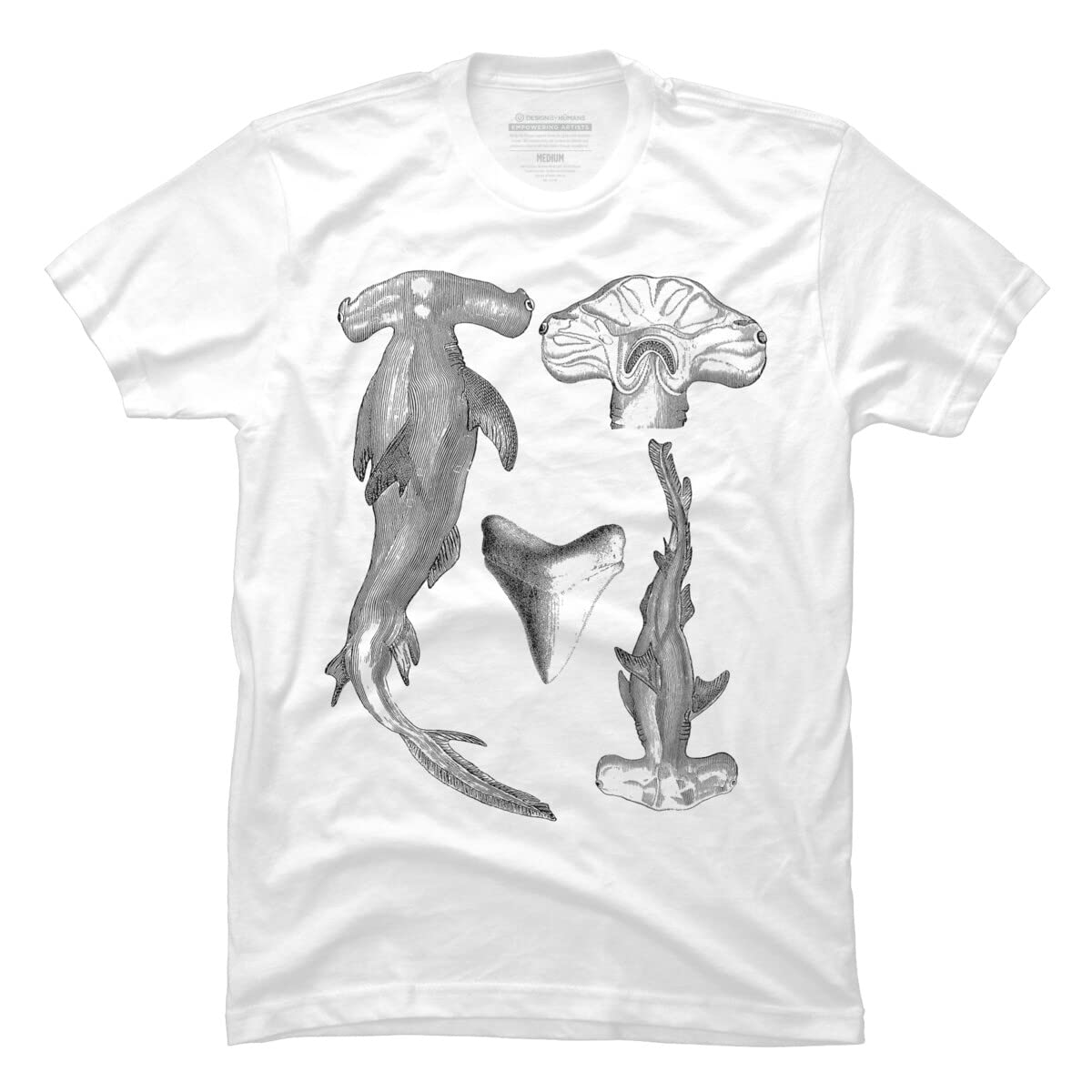 Men's Hammerhead Shark Graphic T-Shirt - Marine Biology Illustration by EncycloArt - Perfect for Beach Outings, Science Enthusiasts & Shark Lovers