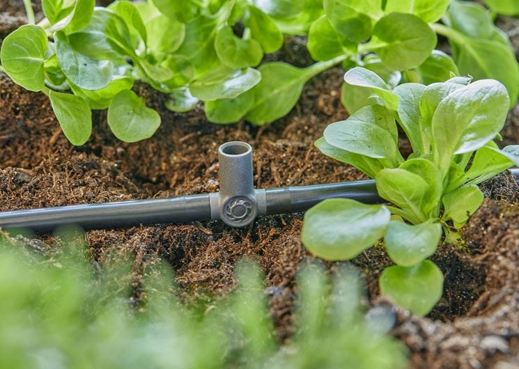Gardena T Joint for Spray Nozzles & Endline Drip Heads 4.6mm (3/16