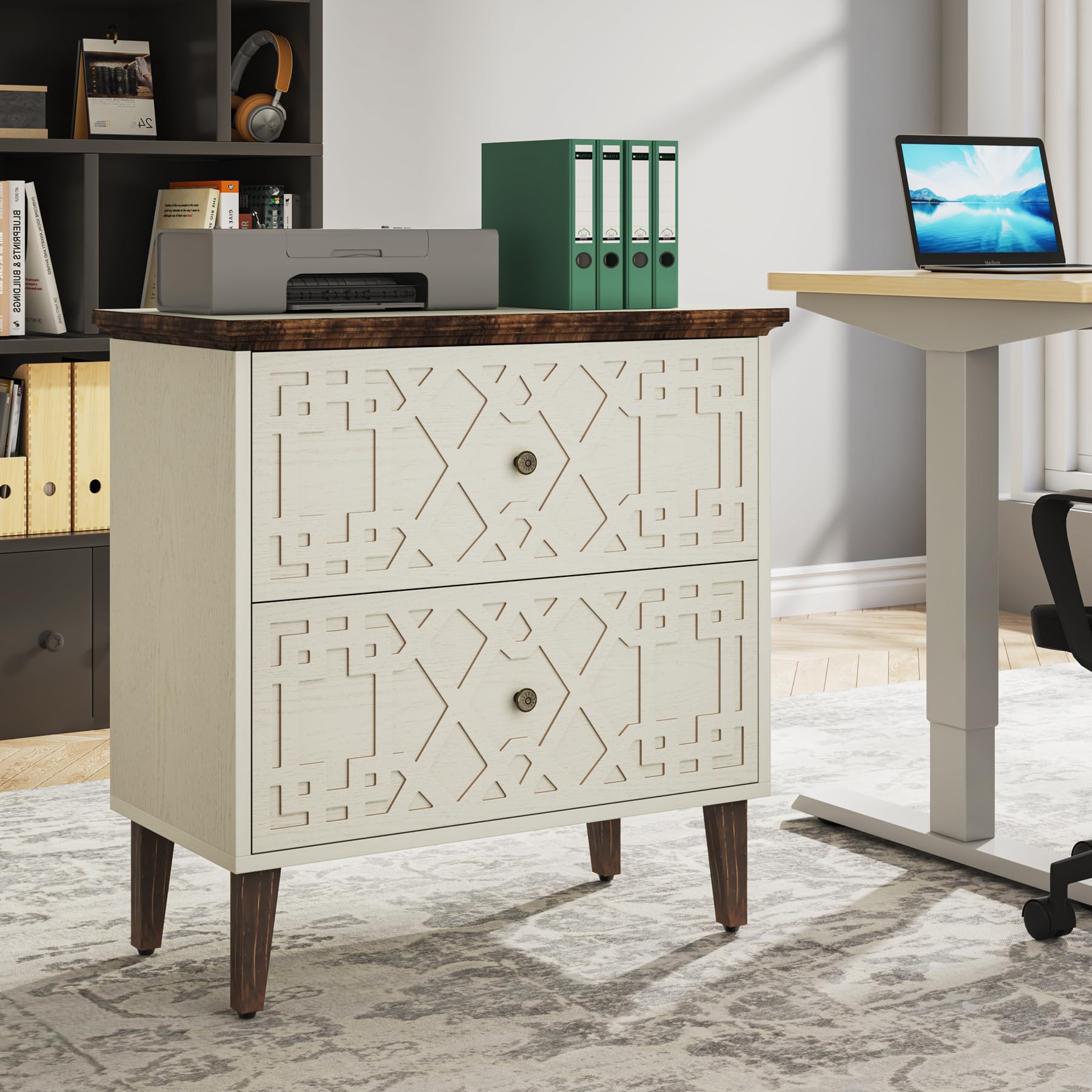 2-Drawer Lateral File Cabinet for A4 Letter Legal Size - Office Storage Cabinet & Printer Stand with Storage Drawers - Perfect for Home Office Organization & Workspace Storage Solutions