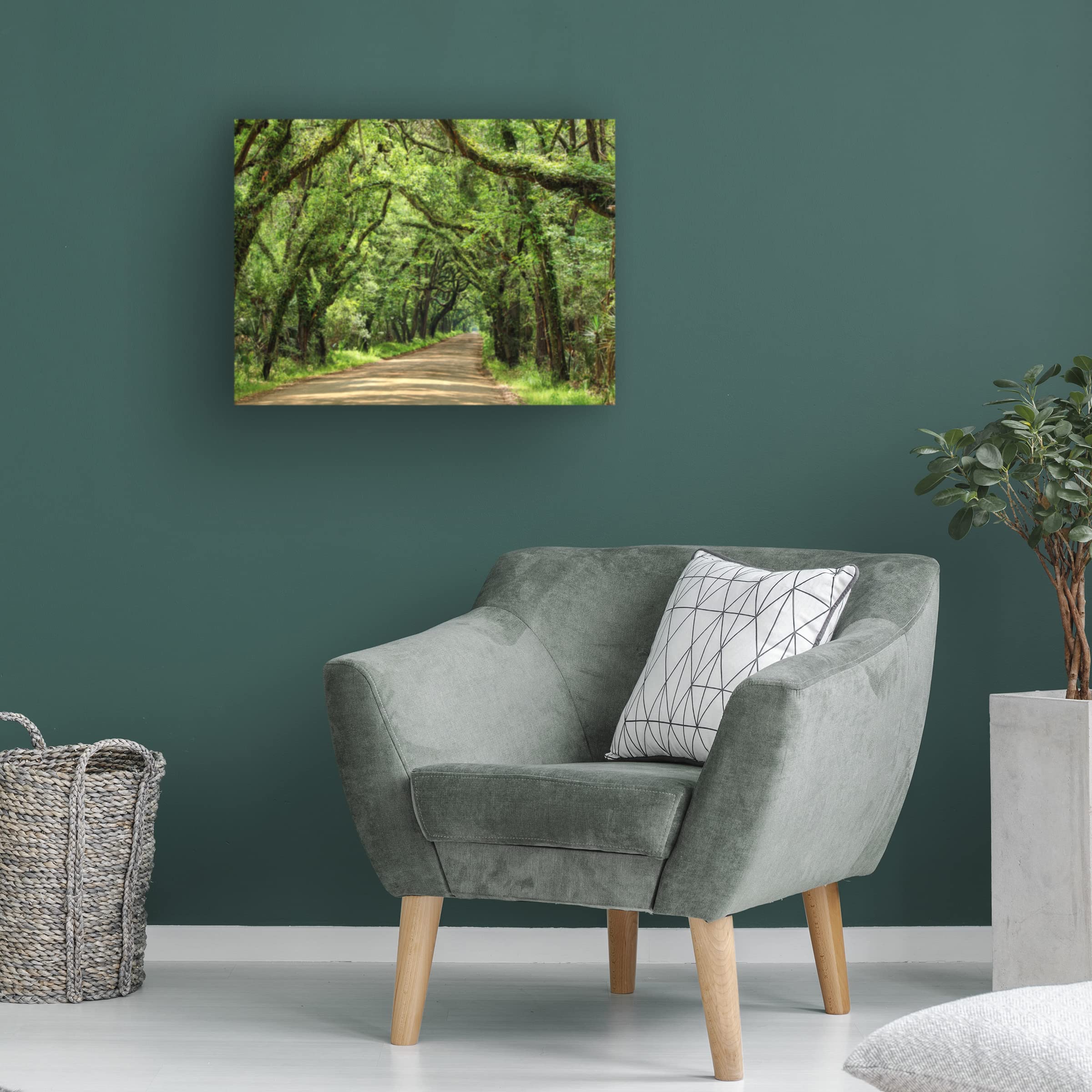 James McLoughlin 'Canopy Road III' Canvas Art Print 14x19 Inch - Trademark Fine Art Collection - Perfect for Living Room, Bedroom & Office Wall Decor