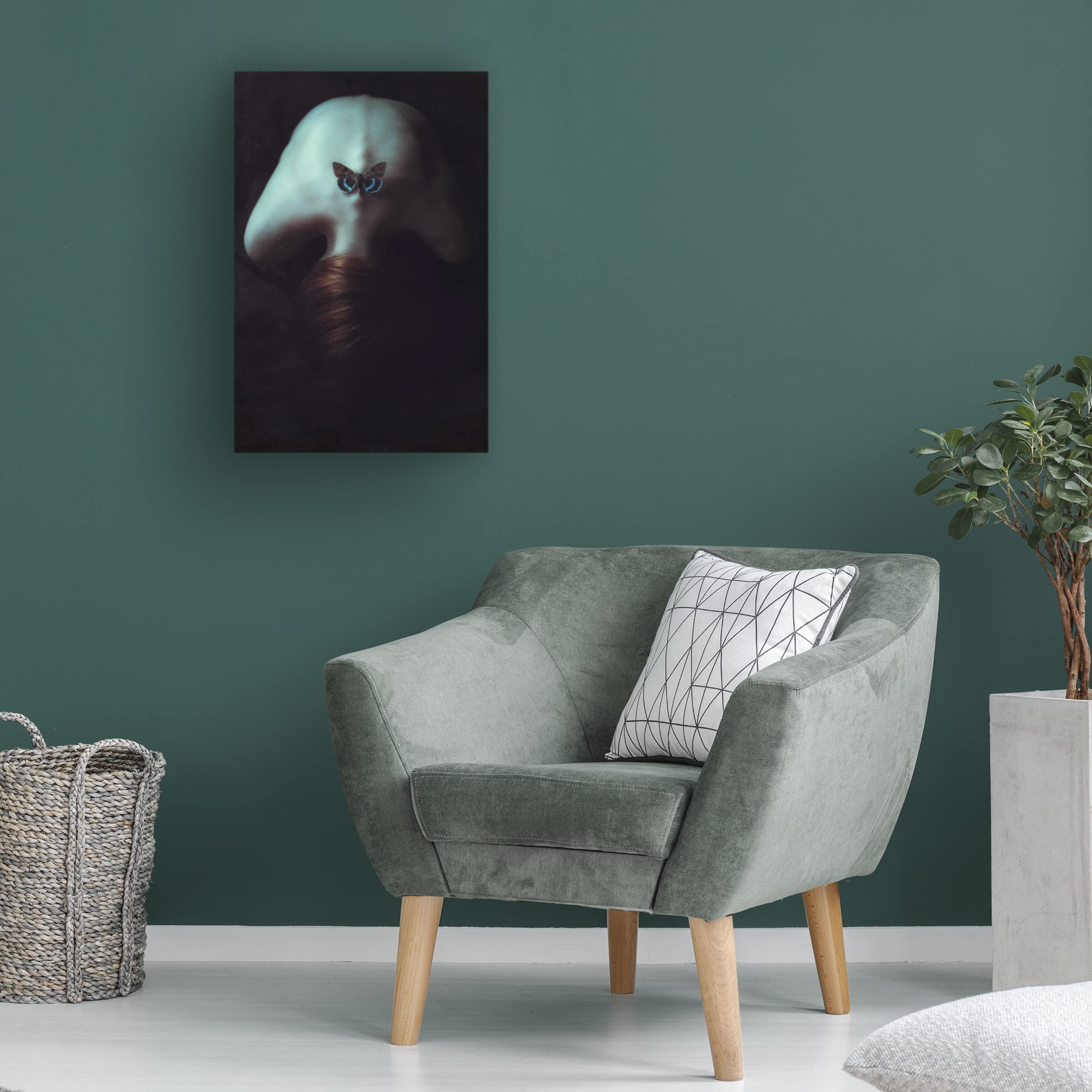 Trademark Fine Art Moth Canvas Wall Art Print by Magdalena Russocka - Elegant Home Decor for Living Room, Bedroom & Office