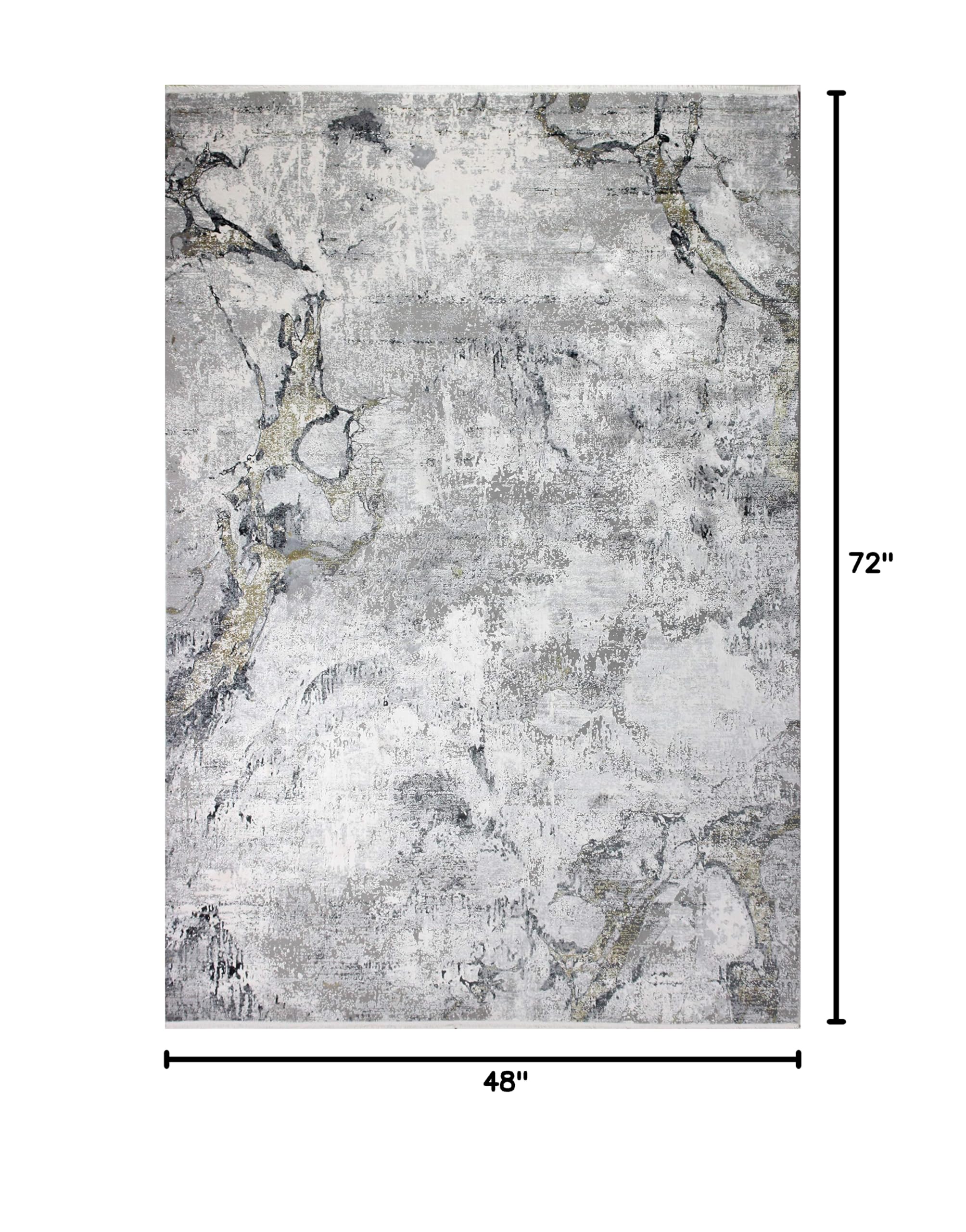 Bashian Collection Luxury Power Loom Viscose & Polyester Area Rug - 4' x 6' Grey/Gold Runner Rug for Entryway, Living Room, Bedroom - Soft & Durable Home Decor for Modern Interior Design