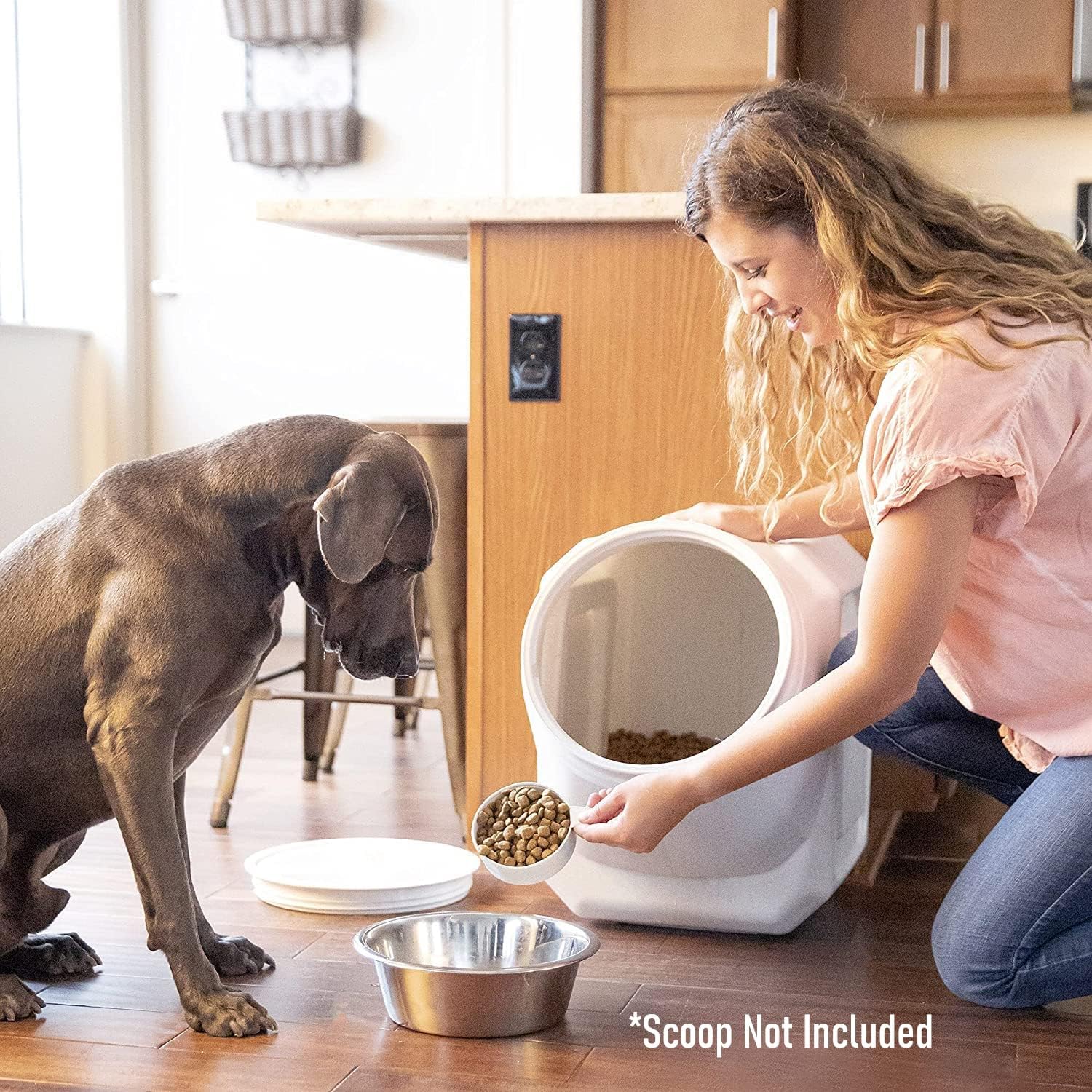 Gamma2 Vittles Vault Airtight Dog Food Storage Containers - 60lb & 35lb Stackable Pet Food Bins for Freshness - Perfect for Dry Kibble, Treats & Bulk Food Storage in Homes, Kennels or Pet Stores
