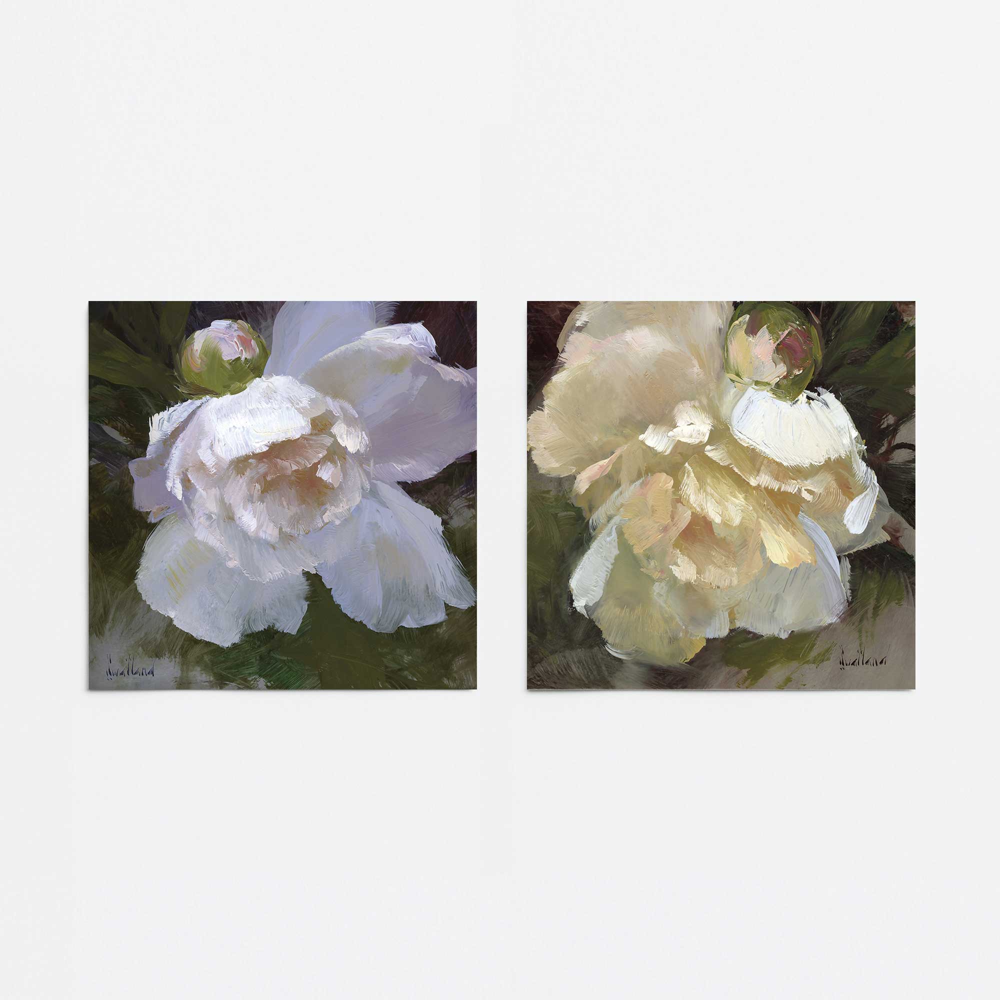 Elegant White Peony Flower Art Prints - Set of 2, Framed Wall Decor for Living Room, Bedroom & Office - Perfect for Home Decor & Wedding Gifts