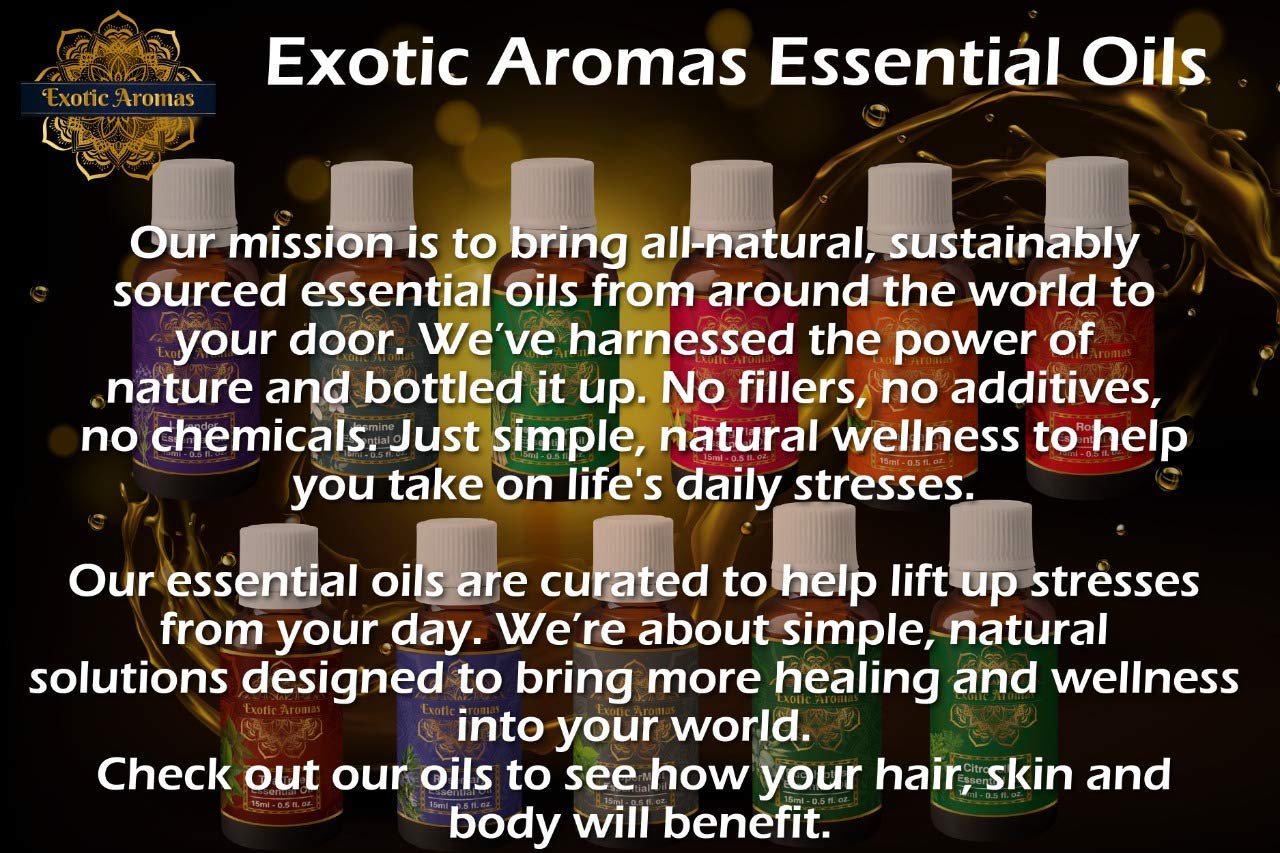100% Pure Rosemary Essential Oil for Hair Growth & Scalp Care - Natural Hair Fall Control, Strengthens & Nourishes Hair - 2 Pack (15ml x 2) - Perfect for Aromatherapy, DIY Hair Masks & Scalp Massage