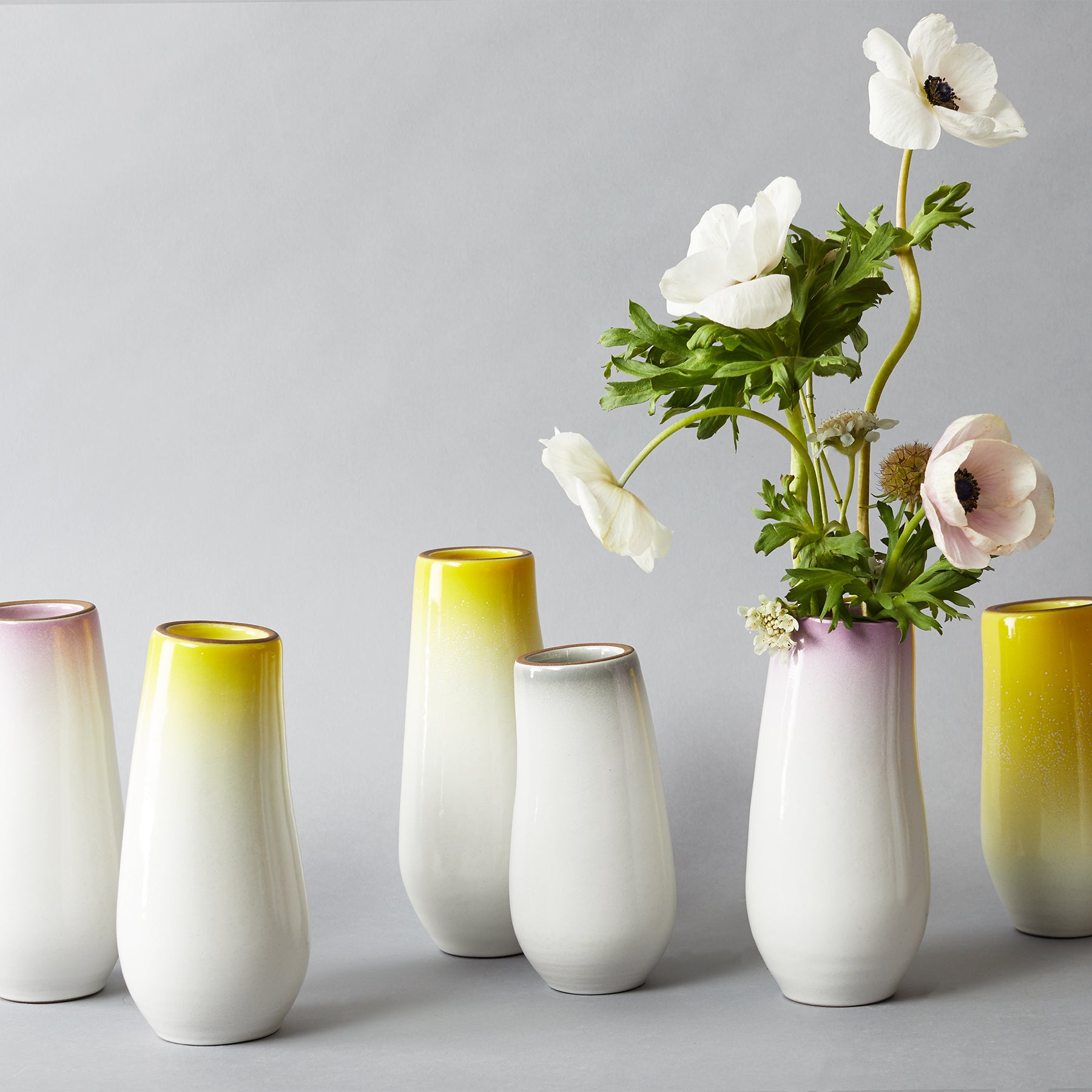 Yuzu Gradient Sprout Vase - Elegant Glass Planter for Small Plants & Flowers | Perfect for Home Decor, Office Desk, and Wedding Centerpieces