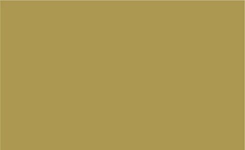 Siser EasyPSV Permanent Self-Adhesive Vinyl Roll for Crafts - 12