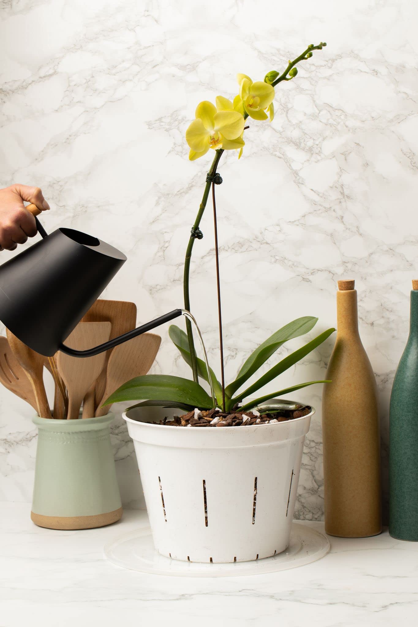 rePotme 10 Inch Clear Plastic Orchid Pots with Drainage Holes - 3 Pack (Cloud White) - Perfect for Orchid Repotting, Indoor Plant Care & Home Gardening