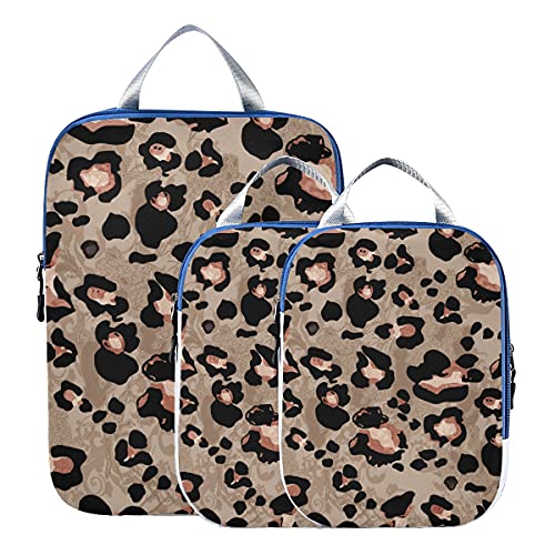 Leopard 05