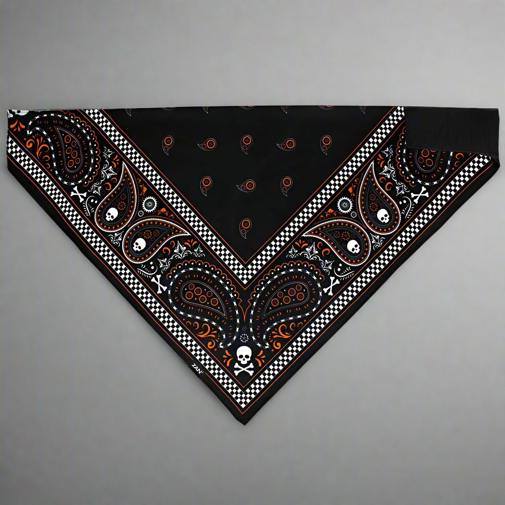 ZANheadgear 3-in-1 Classic Paisley Bandana Scarf - Stylish Head Wrap, Face Cover & Neck Gaiter for Outdoor Activities, Cycling, Hiking & Fashion Accessories