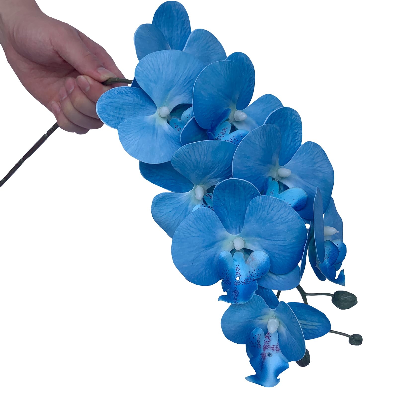 FagusHome 32 Inch Artificial Phalaenopsis Orchid Flowers - 6 Pack Blue Fake Orchid Stems for Home Decor, Wedding Centerpieces, Office & Table Arrangements