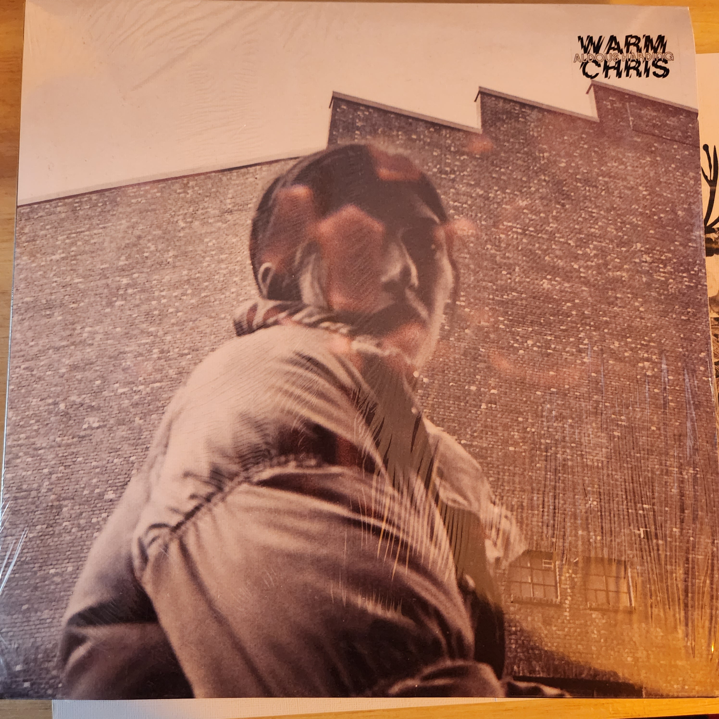 Aldous Harding Warm Chris Vinyl LP Record - Limited Edition Indie Folk Music for Home Listening & Vinyl Collectors