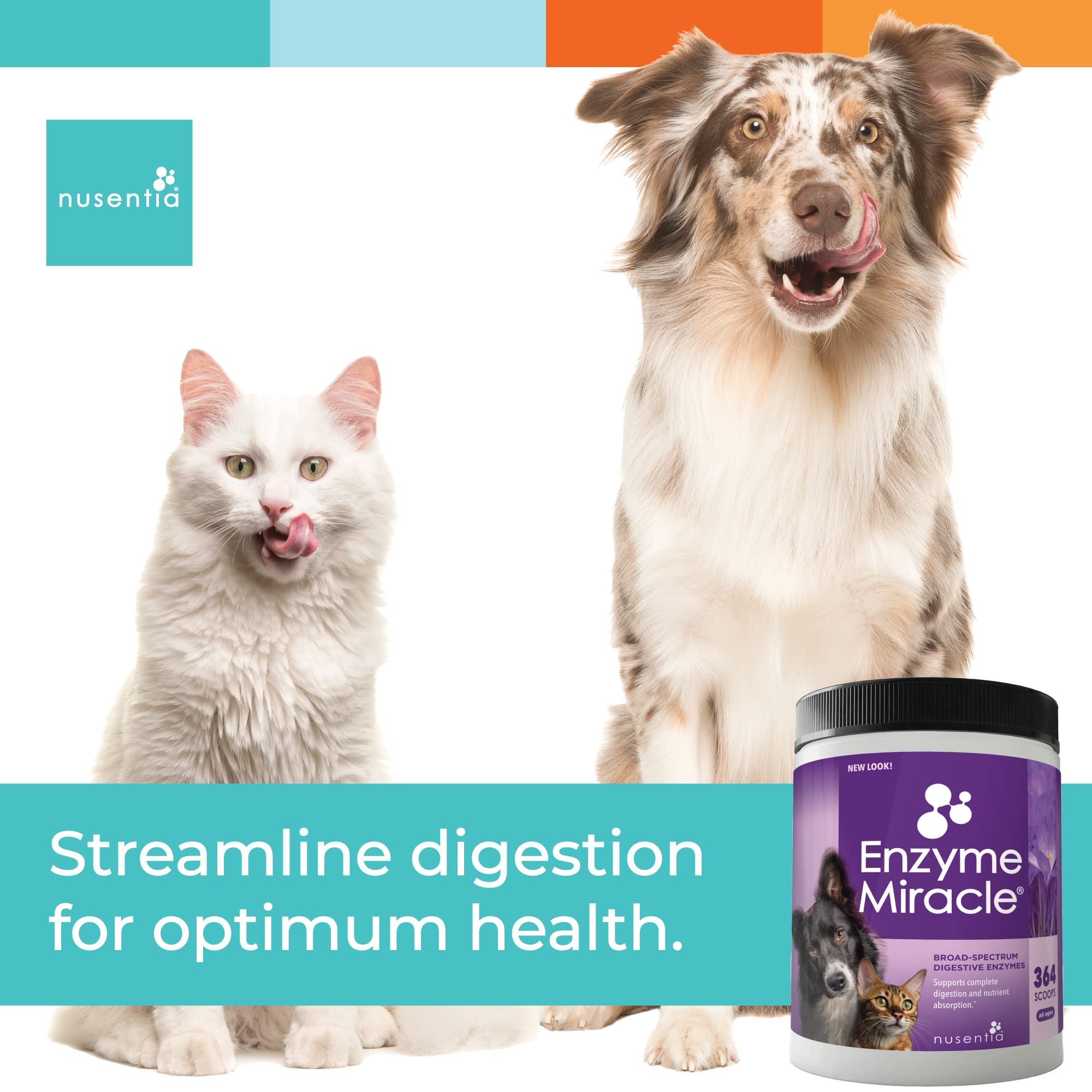 Digestive Enzymes for Dogs & Cats - Protein, Carbs, Starches & Fats Digestion Support | Helps with Diet Transition | Enzyme Supplement Powder (364 Scoops) | Ideal for Sensitive Stomachs & Digestive Health Maintenance