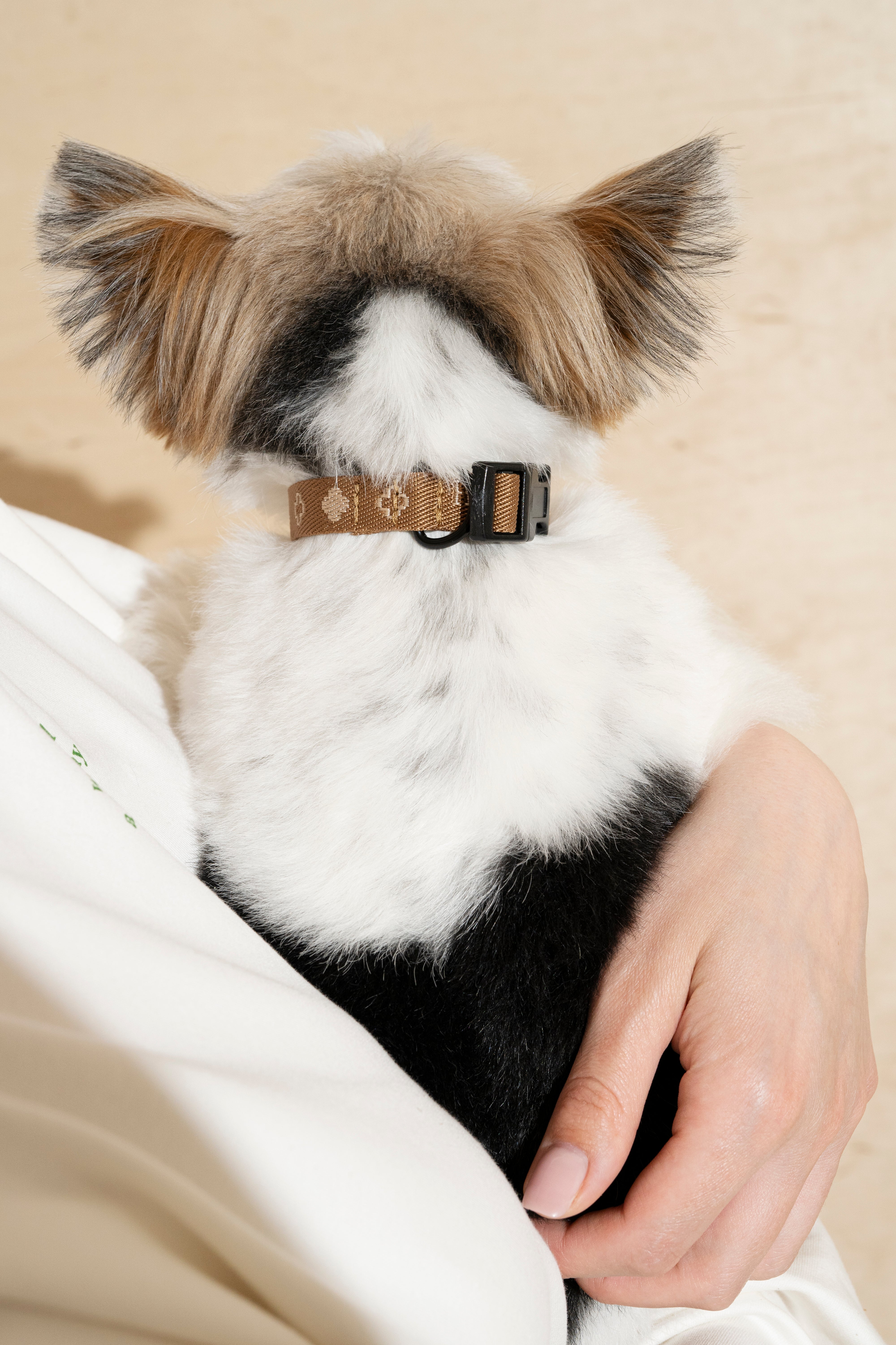 Mini Ginger Pony Collar for Dogs - Comfortable & Adjustable Pet Accessory for Small Breeds - Perfect for Daily Walks, Training & Outdoor Adventures