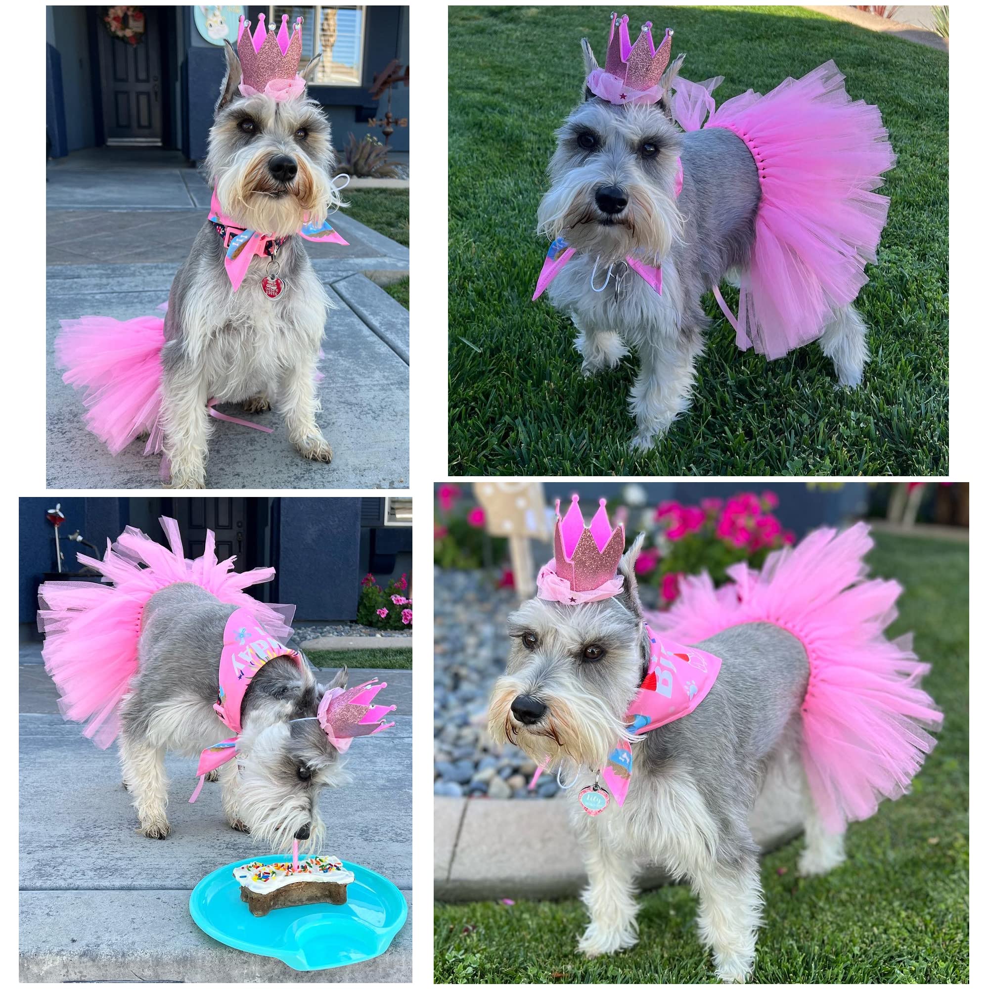 **Dog Birthday Outfit Set - Party Hat, Bandana, Tutu Skirt & Scarf for Small to Large Dogs - Pink Pet Costume for Birthday Celebrations & Photo Shoots**