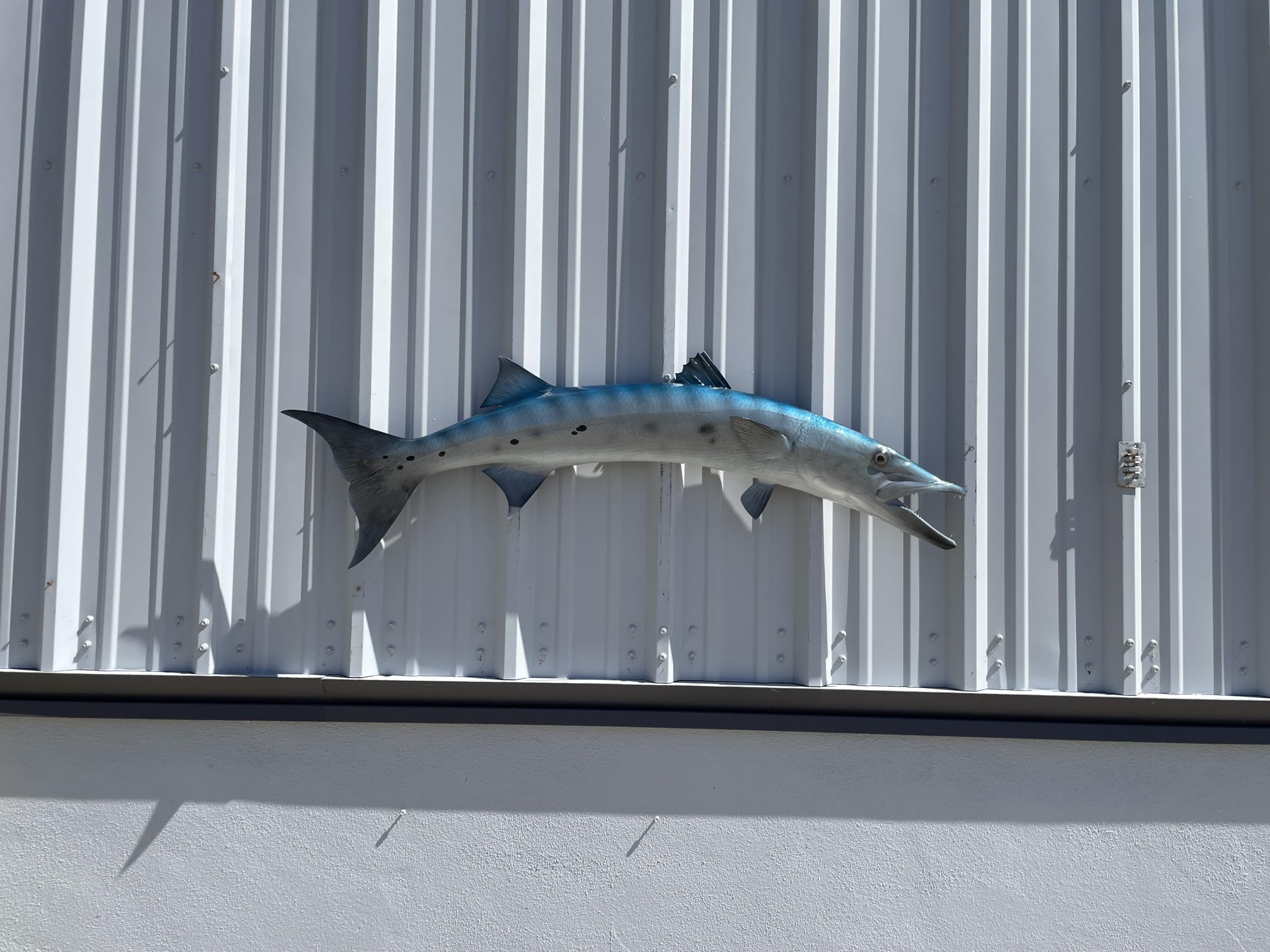 Barracuda Fish Wall Mount Replica - Lifelike Fishing Trophy & Coastal Home Decor for Living Room, Office, or Beach House