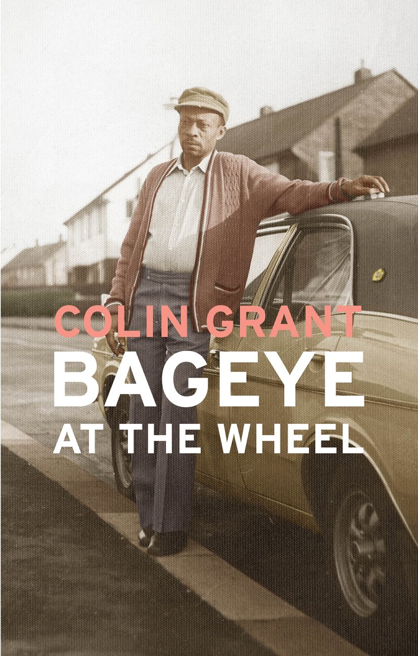 Bageye at the Wheel - Premium Car Accessories for Safe & Stylish Driving | Perfect for Road Trips & Daily Commutes