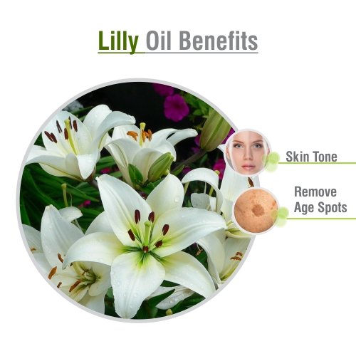 100% Pure Natural Lily (Lilium Auratum) Essential Oil - Undiluted, Uncut Therapeutic Grade Aromatherapy Oil | 0.10 Fl Oz | Perfect for Diffusers, Massage, Relaxation & Home Fragrance