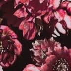 Peony Bloom