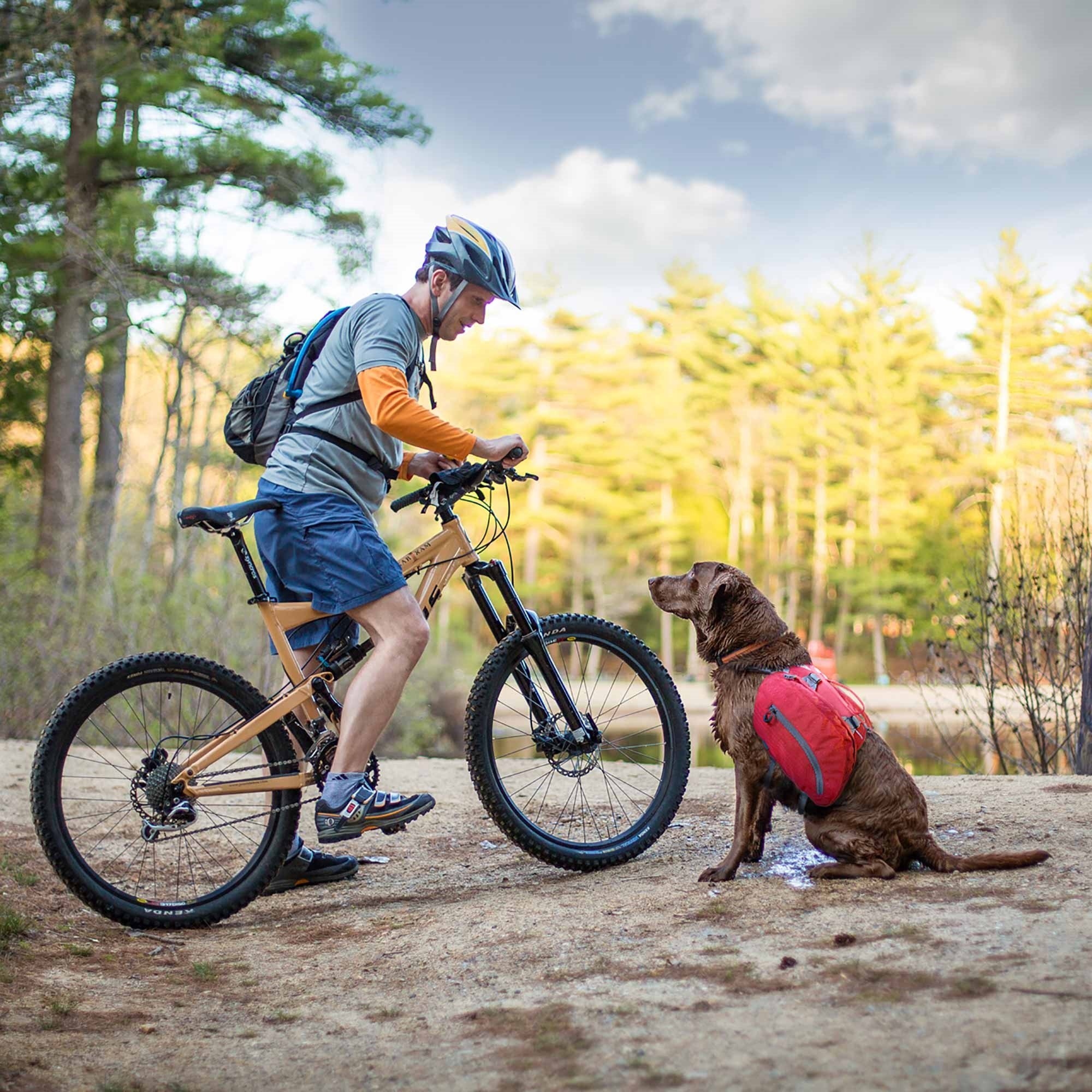 Kurgo Dog Saddlebag Backpack - Adjustable Hiking Pack for Medium & Large Dogs | Lightweight Pet Travel Vest Harness with Reflective Strips | Perfect for Camping, Hiking & Outdoor Adventures